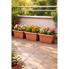 Binbirreyon 3 Adet Balkon Saksısı Teracotta Saksı 31CM 5lt Set AH090