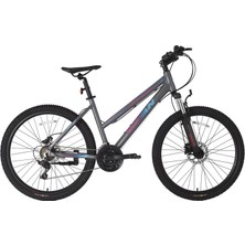 Bisan Athena Kadın Dağ Bisikleti 48CM Hd 29 Jant 21 Vites Metalik Gri Mavi Mor