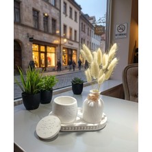 Velmor Candle Dekoratif Yıldız Desenli Kapaklı Obje & Vazo ve Sunum Tepsisi