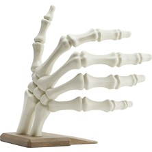 Fibrika Store-Skeleton Hand Dekoratif Kitap Tutucu - Modern Kitap Desteği