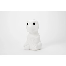 Mr. Maria Rena Lamba First Light