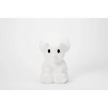 Mr. Maria Mira Lamba First Light