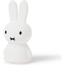 Mr. Maria Aydınlatma, Miffy Shines