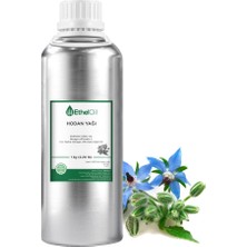 Etheloil Hodan Sabit Yağı (Borago Oil) - 1 kg - Saf ve Doğal Sabit Yağ