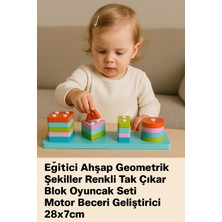 Feyza Design Eğitici Renkli Ahşap Geometrik Şekiller Tak Çıkar Blok Seti