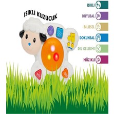 Feyza Design Müzikli Kuzu Piyano Sesli Işıklı Bebek Eğitici Oyuncakları