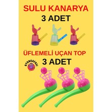 Feyza Design 2'li Motor Beceri Seti - 3 Uçan Top ve Sulu Kanarya
