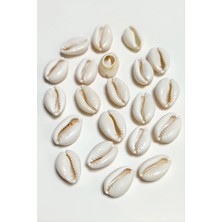 Aesco 10 Adet Orjinal Istiridye Aparatı Orta