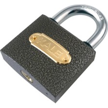 Aesco Mey Ithalat® Kale 20 mm Gri Asma Kilit KD-001/10-120