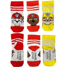 CNS Concept Paw Patrol Üçlü Çocuk Çorap 16-19 Numara
