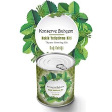 Aesco Mey Ithalat®  Konserve Bahçem Evde Konservede Kekik Dağ Kekiği Yetiştirme Kiti