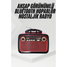 Aesco Mey Ithalat® Nostalji Radyo Bluetooth Hoparlör Usb-Sd Kart Giriş LED Fener Işıklı Bataryalı Pilli