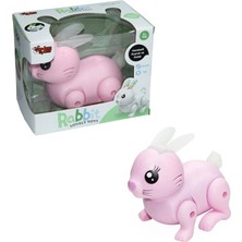 Aesco Mey Ithalat® Müzikli ve Işıklı Tavşan