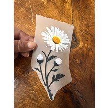 Gönülden Tasarım Ütü Ile Yapışan Papatya Transfer Baskı Arma 18X9 cm