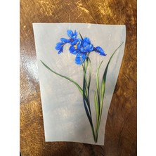 Gönülden Tasarım Ütü Ile Yapışan Çiçek Transfer Baskı Arma 24X15 cm