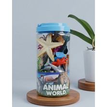 Animal World Hayvan Figürleri Seti Parça Deniz ve Vahşi Hayvanlar Oyuncak Seti Kavanoz Kutulu Eğitici Oyuncak