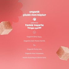 Gray Line Gry Organik Çilekli Glutensiz Vegan Mini Küpler 30 gr Nel1