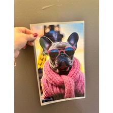 Gönülden Tasarım Ütü Ile Yapışan Atkı Takmış Köpek Transfer Baskı Arma 31X20 cm