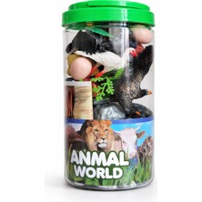 Animal World Hayvan Figürlü Set – Kuş & Vahşi Hayvan Oyuncakları