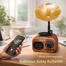 Nunu Radyo Retro Gramofon Görünümlü Bluetooth Hoparlör USB Şarjlı Fm  Nostaljik Dekoratif Müzik Çalar
