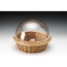 Biradlı Fanus Kapaklı Sepet