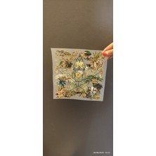 Gönülden Tasarım cm Ütü Ile Yapışan Yıldız Çiçekli Transfer Baskı Arma 21X21