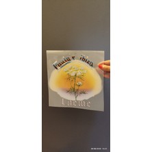 Gönülden Tasarım Ütü Ile Yapışan Gün Batımı Çiçekli Transfer Baskı Arma 20X20 cm