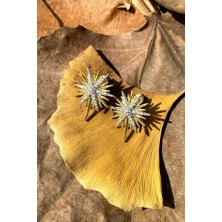 Spossy Silver Jewelry Taşlı Kutup Yıldızı Küpe