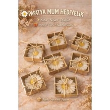 Shaymia Natural Kutulu Papatya Mum Hediyelik-Kına, Nişan, Düğün, Nikah, Anneler Günü-5 Adet-Shaymia Gifts