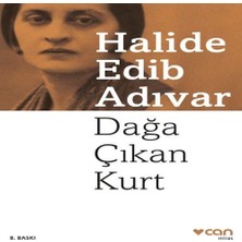 Dağa Çıkan Kurt