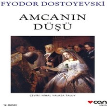 Amcanın Düşü