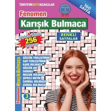 Fenomen Karışık Bulmaca 3