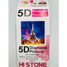 Duck Hoby 30X30 Boncuklu Taşlı Mozaik Elmas Goblen Pano Tablo Resim Puzzle Dıamond Paıntıng Hı Stone