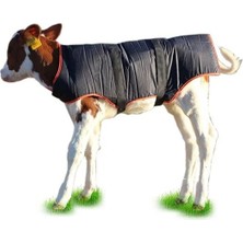 Çiftlik Shop Buzağı Battaniyesi