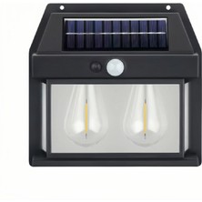 Forlife 24W Solar Dekoratif Bahçe Armatürü FL-3331