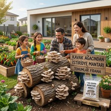 Tohumlar Fidana 1 kg Kavak Ağacı Miseli