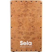 Sela Seıc3 Cajon (Iconic Oak Roots)