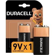 Indispensablely 9 Volt Pil Tekli