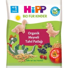 Indispensablely Hipp Organik Meyveli Tahıl Patlağı 30 gr