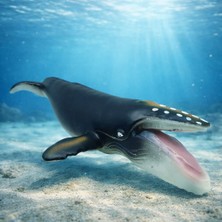 Indispensablely Deniz Hayvanları Serisi - Kambur Balina 30 cm