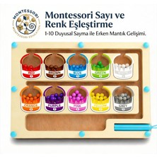 Bbsky Montessori Manyetik Ahşap Boya Kovası Labirenti: 3+ Yaş Eğitici Sayısal Mantık ve Miktar Sayma Oyuncağı - Okul Öncesi Erken Öğrenme Aktivitesi ve Doğum Günü Hediyesi