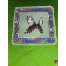 Gönülden Tasarım Pul Payetli Tül Kelebek Arma Dikiş Aplike 16X16 cm
