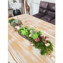 Decoroon El Yapımı Uzun Masa Dekoru 50 cm – Gerçek Ağaç Kabuğu, Şoklanmış Yosun ve Sukulent Tasarım, Orta Sehpa & Salon Dekoru
