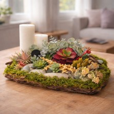 Decoroon El Yapımı Mumlu Masa Dekoru – Doğal Yosun, Ağaç Kabuğu ve Sukulent Tasarım, 2 Mumlu Orta Sehpa & Salon Dekoru