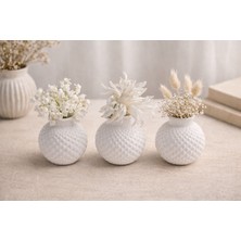 Esilaş Üçlü Dekoratif Mini Saksı Seti