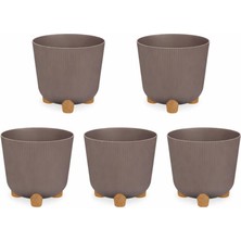 Omnipazar ELF-452 Dekoratif Derin Nostalji Ayaklı Saksı Takımı 9 Lt Vizon 5 Adet