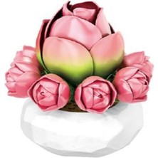 P655059 Zambak Sukulent Model 41 Parça Block Oyuncak