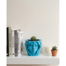 Kyops Sanatsal Kadın Yüzü Ağaç Detaylı 3D Baskı Dekoratif Vazo Saksı - Lisinya