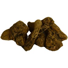 Decostyle Doğal Ravent Kökü 1000 gr Paket