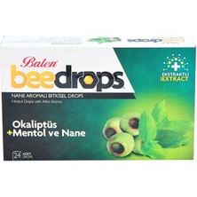 Decostyle Nane Aromalı Sel Drops 24ADET